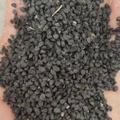 洋葱和洋葱种子大量供应