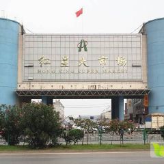 实力代销各种精品葡萄，提子！