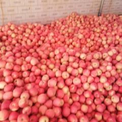 山西万荣纸袋红星