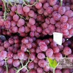 渭南红提葡萄种植，红提葡萄价格，红提葡萄批发供应
