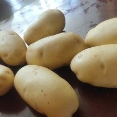 马铃薯购销，陈春雷