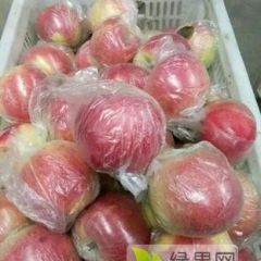 万荣高村乡坡上嘎啦海拔高 红度好口感佳