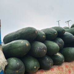 纯绿色无公害产品