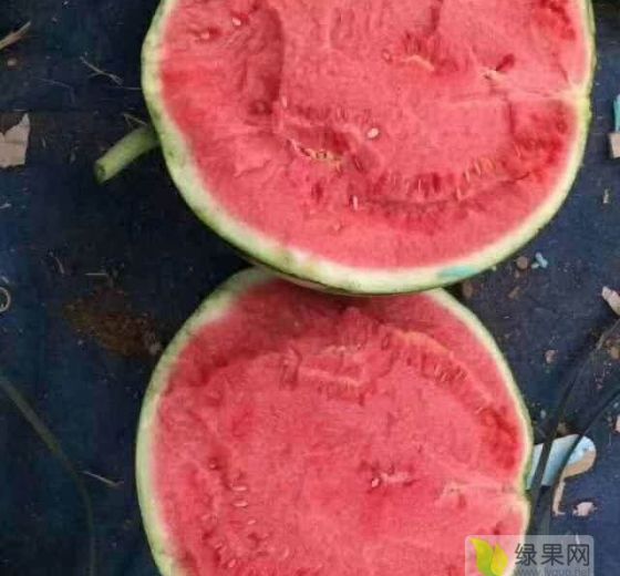 花皮无籽价格
