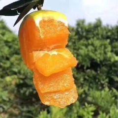 橙子产地直销，挂树鲜果