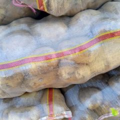 精品土豆热销荷兰十五和226