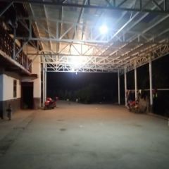 西红柿辣椒供应充足，品质优良