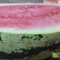 定边西瓜降价了！