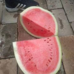 优质西瓜来啦！！！
