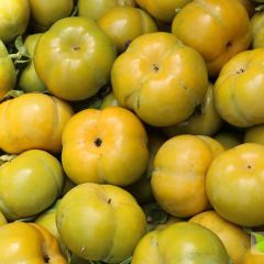 专门帮外地水果老板代办收购