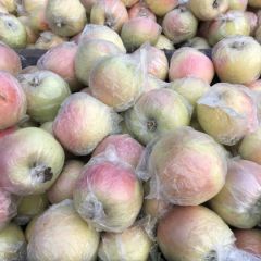 潍坊市红将军苹果