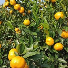 提供优质质量一站式一流服务