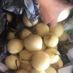 膜袋鸭梨纸袋鸭梨大降价