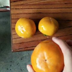 甜柿子脆柿次郎阳丰