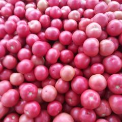 壶关百尺李书青硬粉西红柿