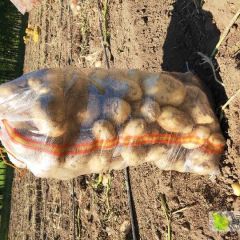 226便宜出售0.4-0.45