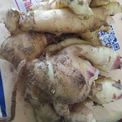 寒亭区代购土豆，圆葱，草莓，大姜等