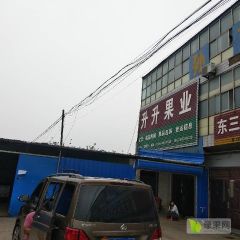 山西运城红提葡萄大量上市