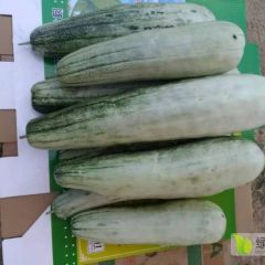 都昌街办的羊角蜜