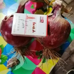 酒泉著名产品洋葱