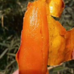 自己吃的订单了，放心食品