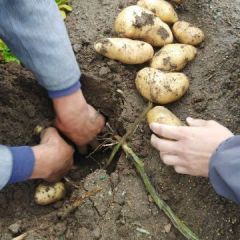 绝对的惠农产业、来就对了