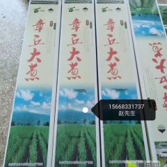 2021年章丘大葱上市了！正宗章丘大葱精品礼盒装