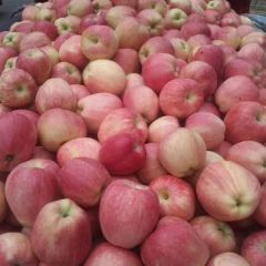 山西万荣纸袋红星大量上市