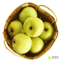 砀山酥梨代办一件代发