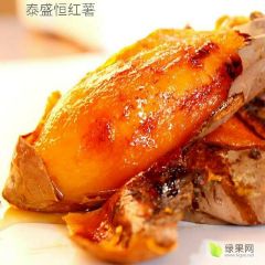 泰盛恒－专业级烟薯25供应，一件代发。