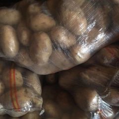 库存土豆急售！！！！还有大约四十吨