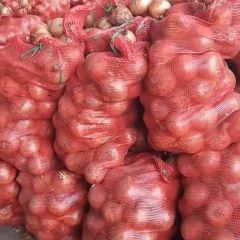 哈尔滨呼兰区康金镇大量供应黄皮洋葱 个头够大 货好