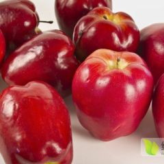 天水花牛苹果，蛇果大量发售