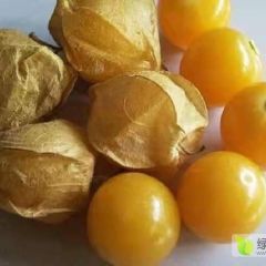 姑娘果，好吃，好看，美味，