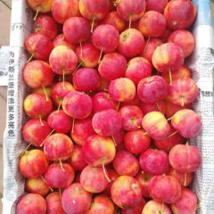 沙果，黄太平，红太平，紫太平