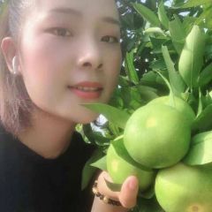 密橘 柑桔 柑橘批发市场