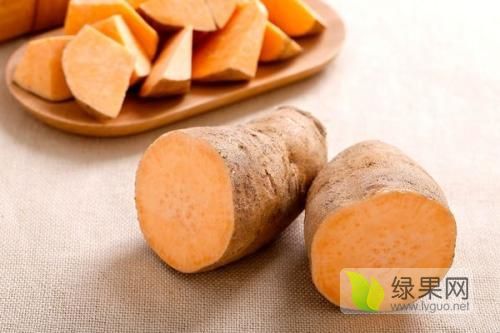 2019年山东平邑商薯26地瓜价格
