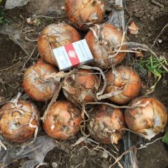 合作才能发展，共赢才是王道