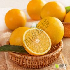 2020年麻阳冰糖橙电商微商高品质一件代发