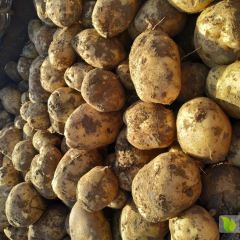 质量第一，客户至上