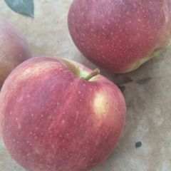 又红又大的红星苹果