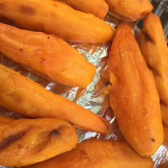 烟蜜薯种植专业合作社