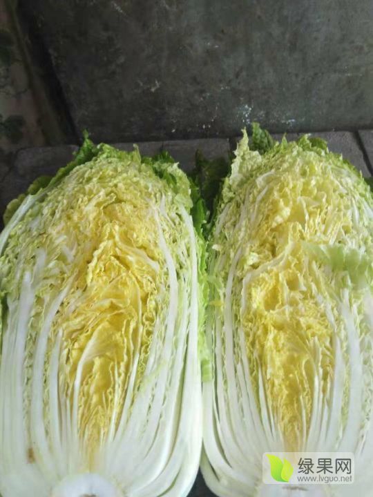 2019年河南夏邑青杂三号价格