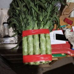 红尖叶莴苣大量上市