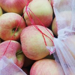 纸袋红星迅速落价，各地客户请速来！