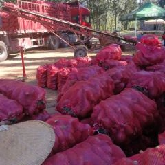 山东邹城市专供应广西褔建加工厂