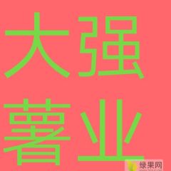 专供济薯26/福建/广西加工厂
