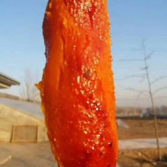 _河北安次烟薯25号，龙轩薯业