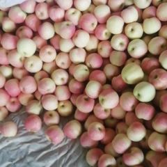 纸袋花冠大掉价了