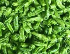 我们兰陵县慧欣蔬菜有限公司蔬菜品种齐全，种类多，价格便宜